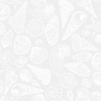 dsStella-P3423 WHITE